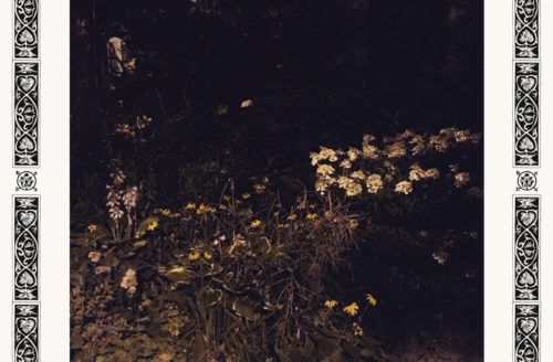 Sarah Davachi, Pale Bloom Album Cover