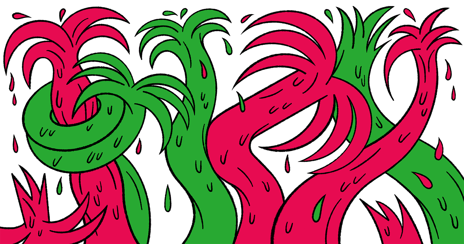 Reggaeton