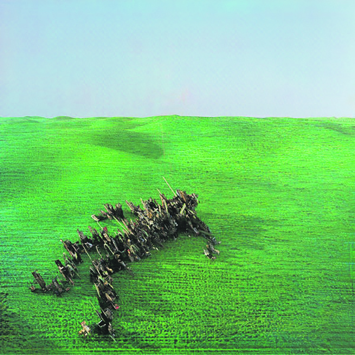 Squid – 'Bright Green Field' review