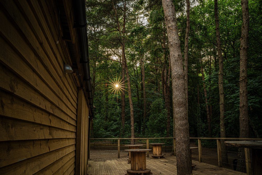 This Must Be The Place comes to Candleston Woods this month