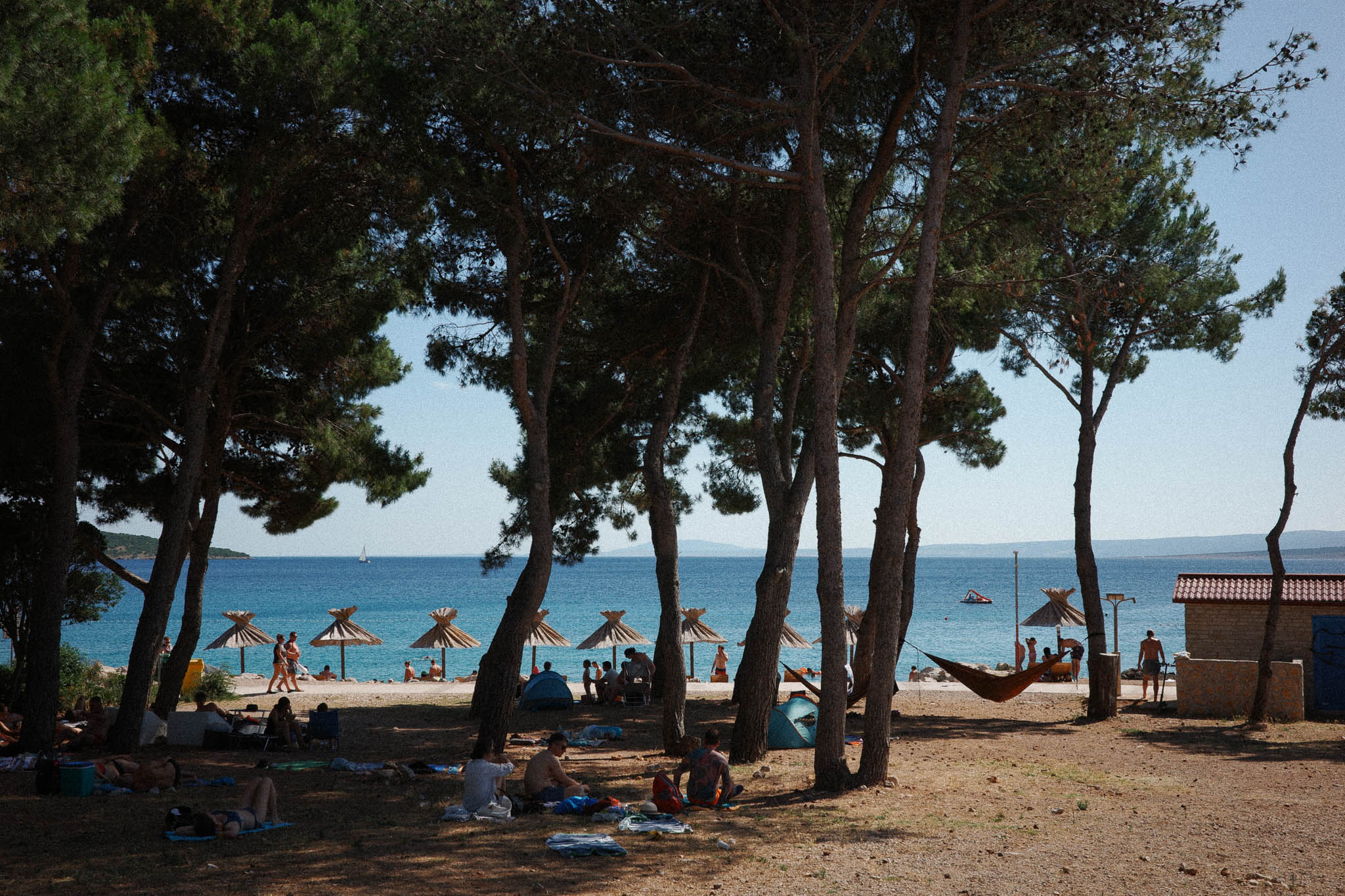 Surf Festival expands debut line-up with OMOLOKO, Chaos In The CBD and more